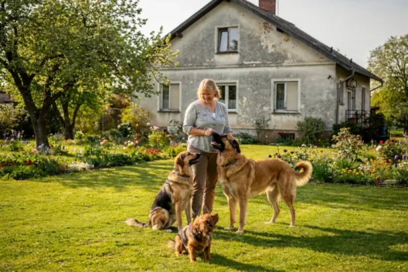 Frau mit Hunden auf einem Gartengrundstück